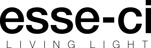 Esse-ci logo